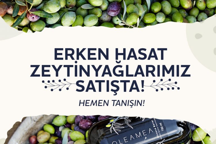 Oleamea'da Yeni Hasat Ürünleri İle Tanışın!