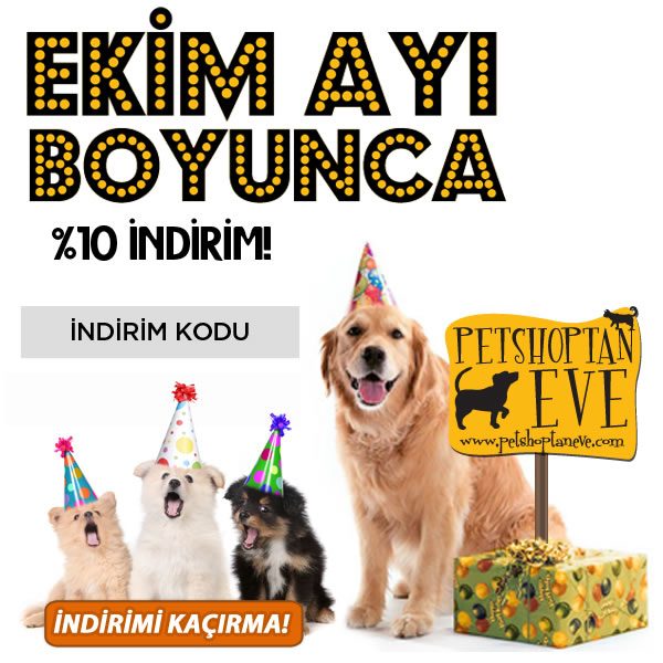 %10 PetShoptanEve İndirim Kodu