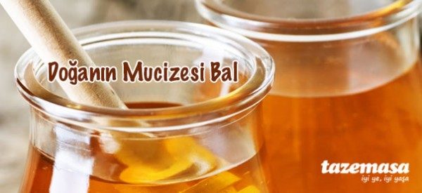 Datça Çam Balı Hediye